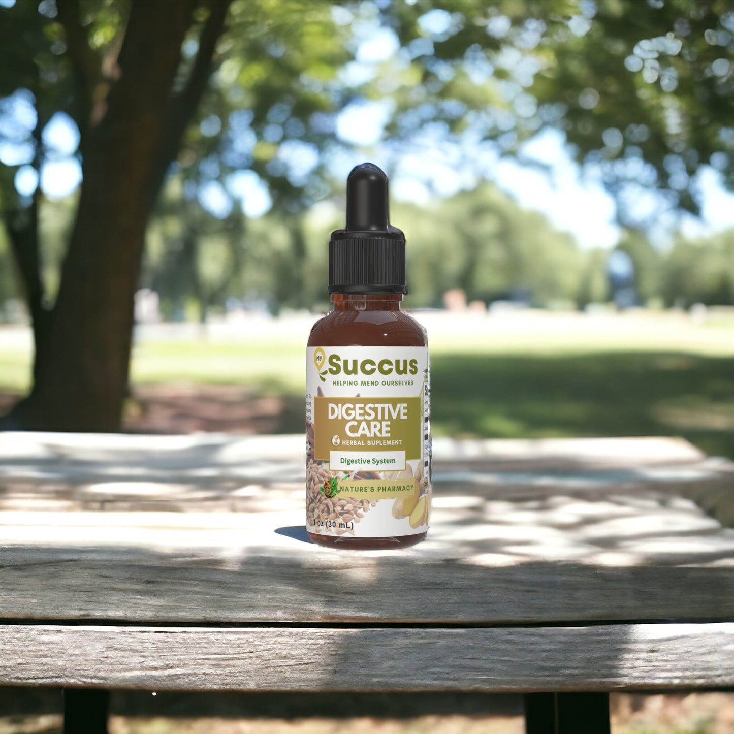 Digestive Care Tincture - Gut Health Support image 0
