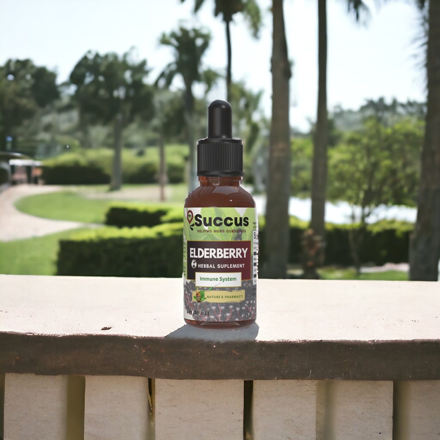 Elderberry Tincture - Herbal Support for Immune Wellness image 0