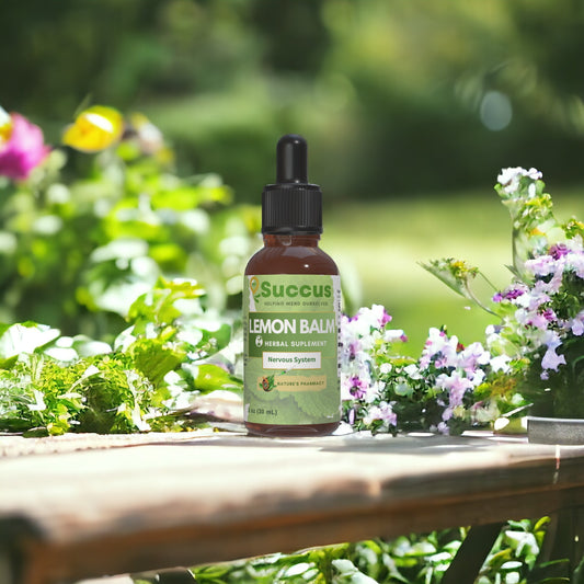 Lemon Balm Tincture - Supports Relaxation & Stress Relief image 0