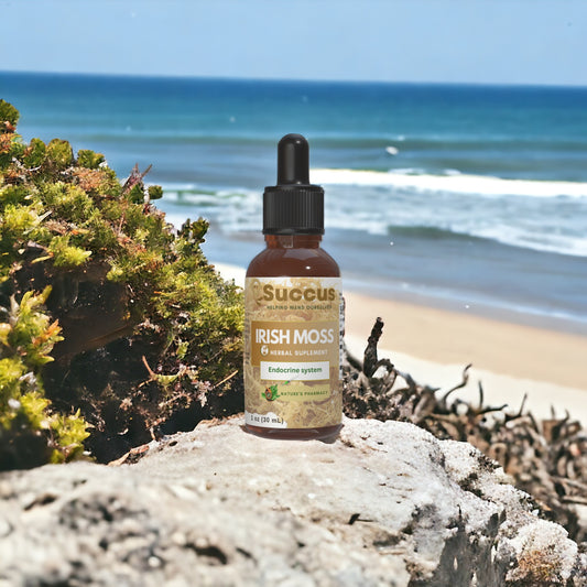 Irish Sea Moss Tincture - Endocrine System (Thyroid Support) image 0