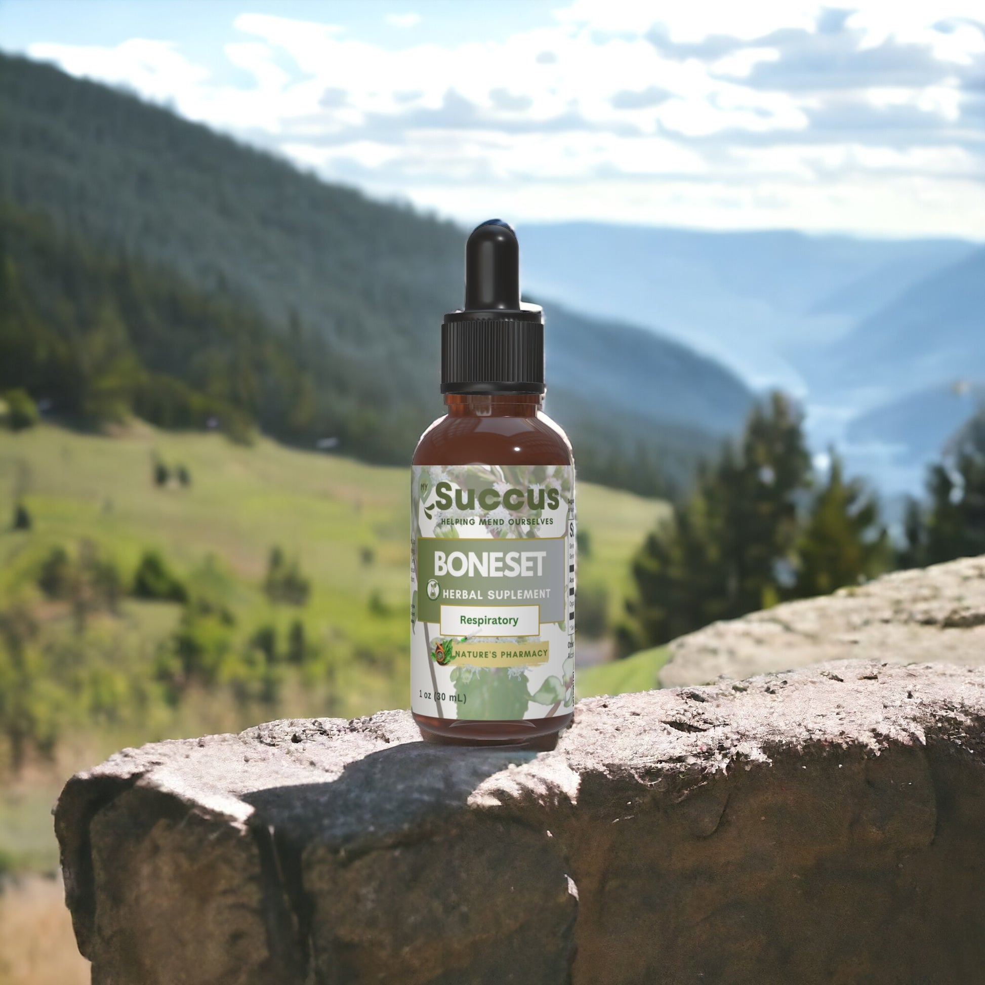Boneset Tincture - Respiratory image 1