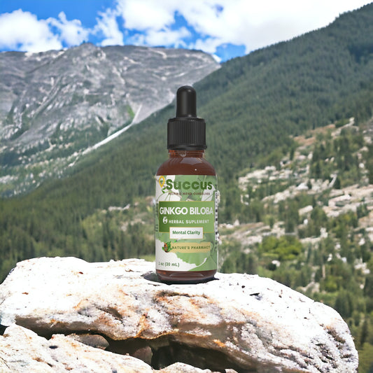Gingko Biloba Tincture - Mental Clarity image 0