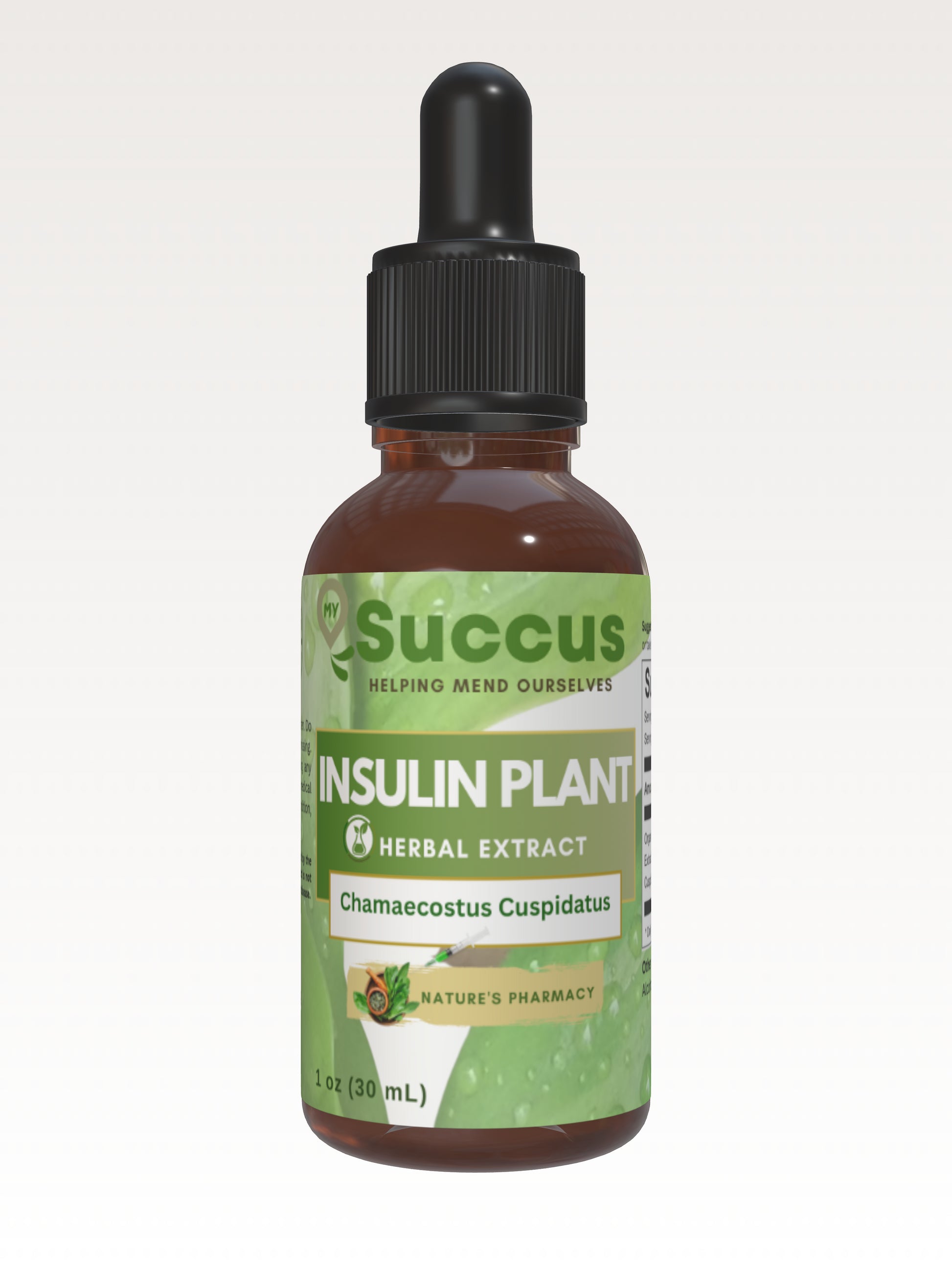 Insulin Plant Tincture - Blood Sugar Support image 2