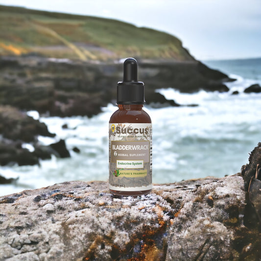 Bladderwrack Tincture - Endocrine System Support (Thyroid Support) image 0