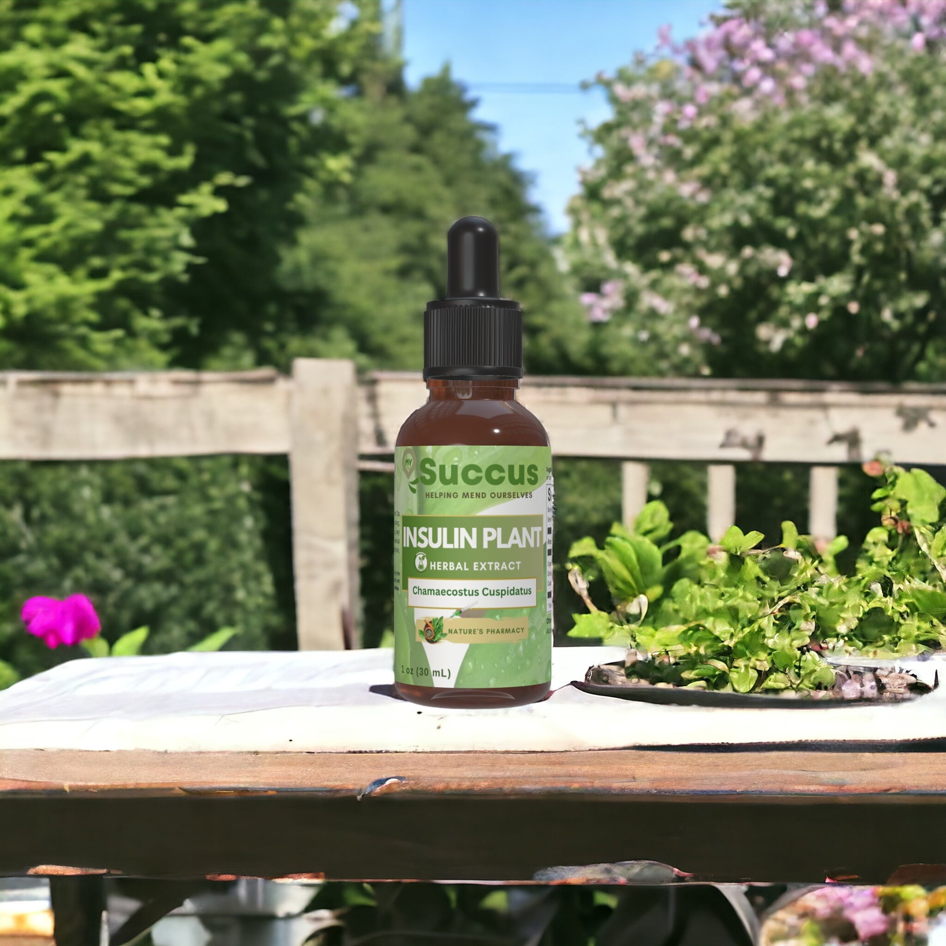 Insulin Plant Tincture - Blood Sugar Support image 1