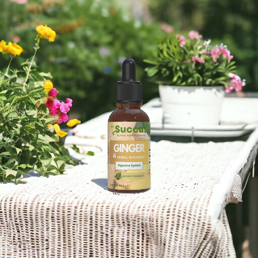 Ginger Tincture - Supports Digestion & Natural Vitality image 0