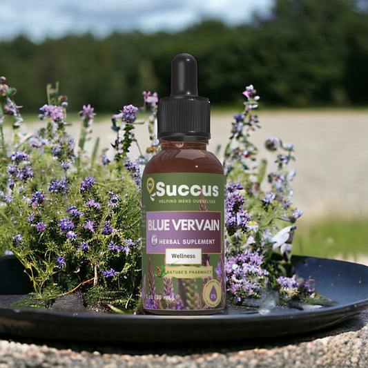 Blue Vervain Tincture - Wellness Support image 0