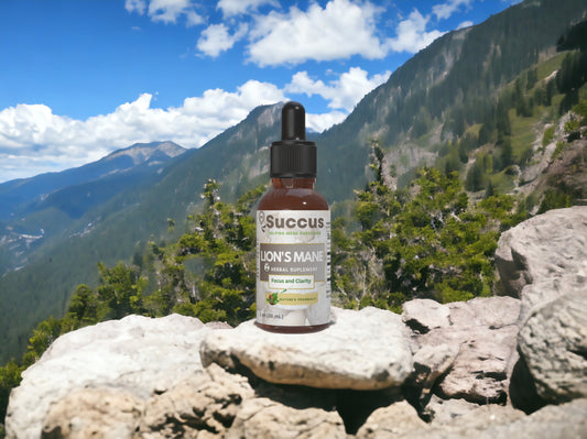 Lion's Mane Tincture - Supports Brain Health & Mental Clarity image 0