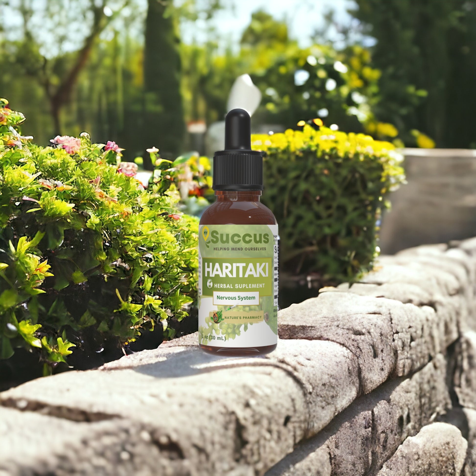 Haritaki Tincture - Herbal Support for Wellness & Vitality image 1