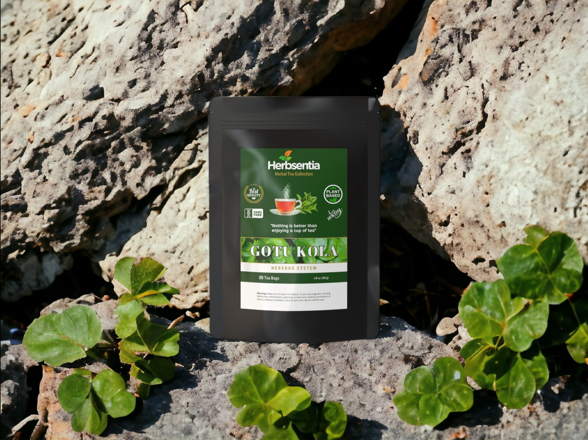 Gotu Kola Tea- Supports Mental Clarity & Skin Health image 0