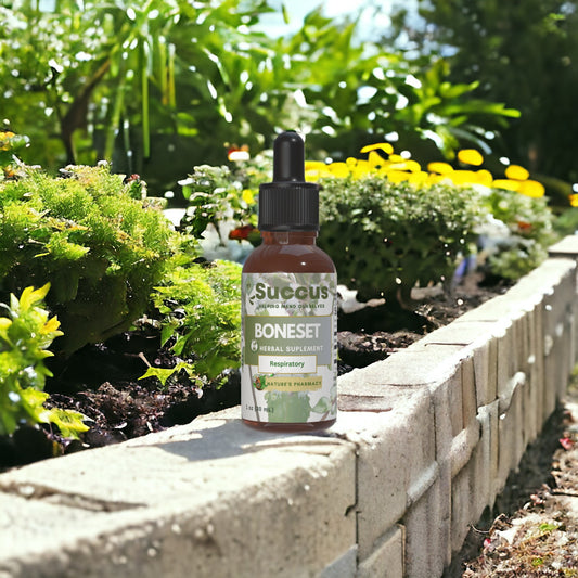 Boneset Tincture - Respiratory image 0