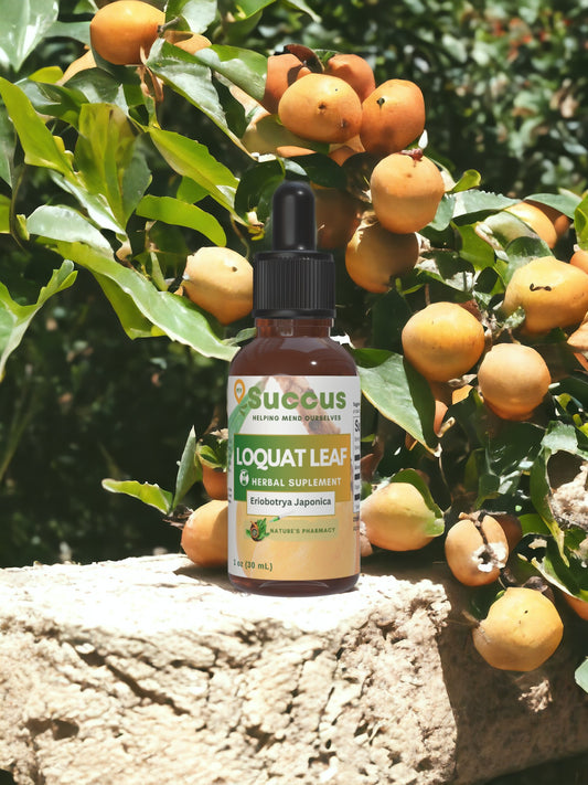 Loquat Leaf Tincture - Herbal Support for Respiratory Health image 0