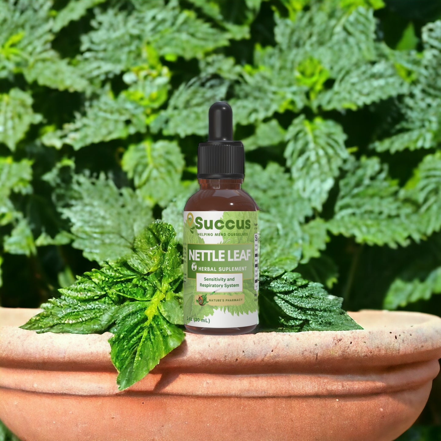 Nettle Leaf Tincture - Sensitivity and Respiratory System image 1