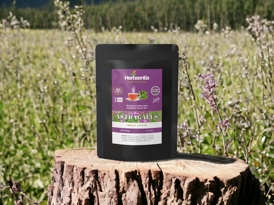 Astragalus Tea - Immune System Support image 0