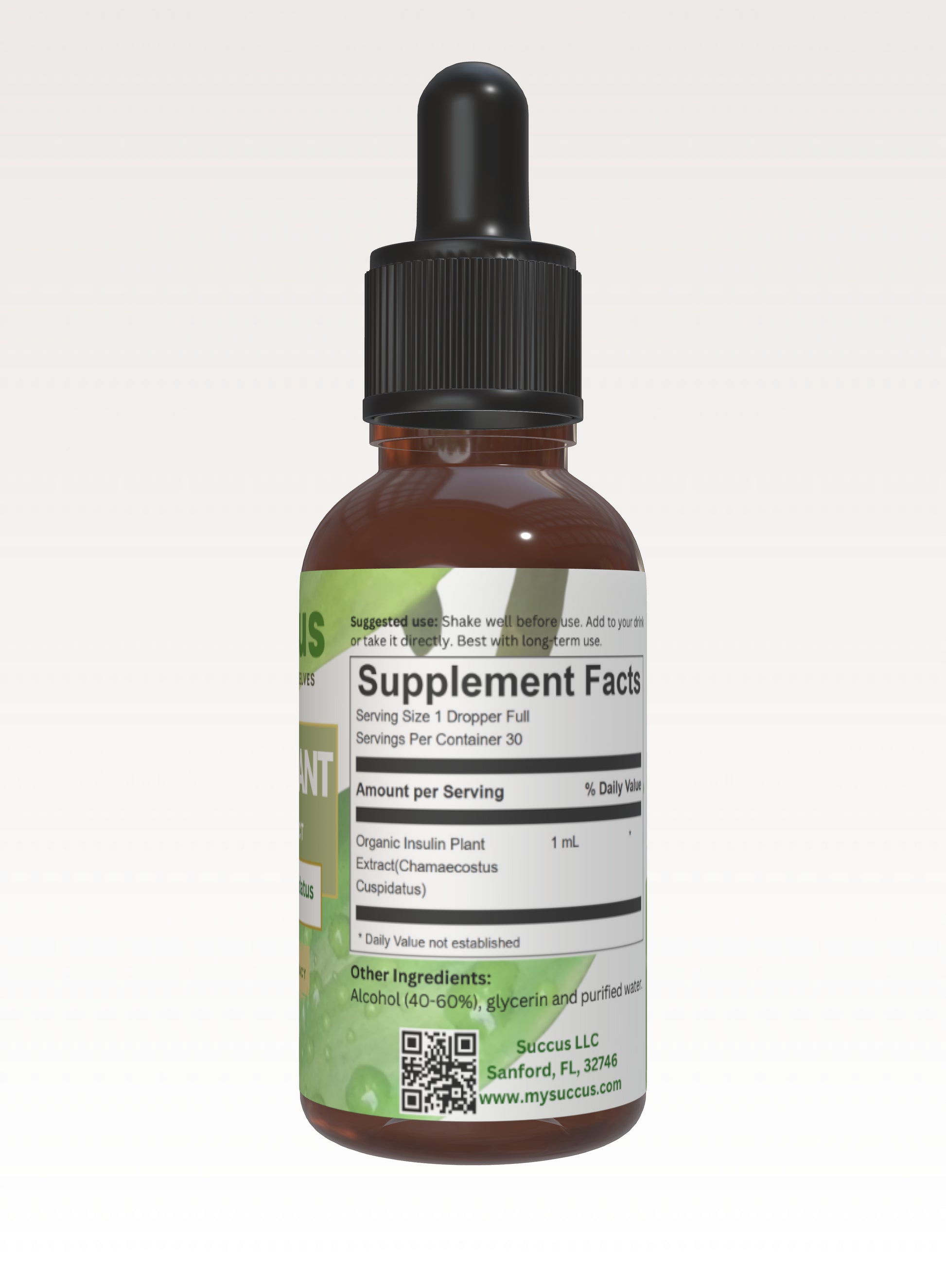 Insulin Plant Tincture - Blood Sugar Support image 3