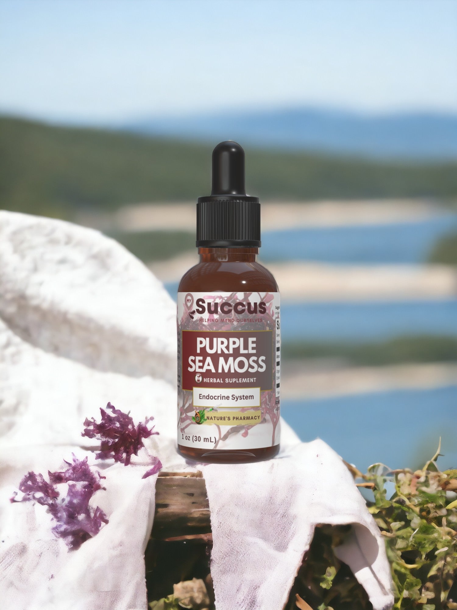 Purple Sea Moss Tincture - Endocrine System image 0