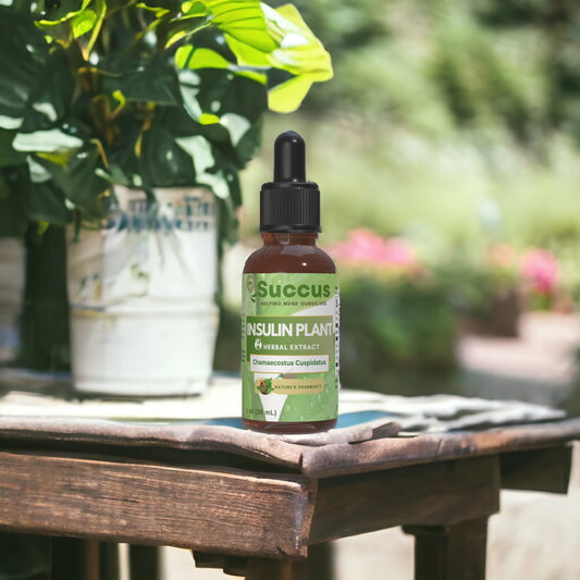 Insulin Plant Tincture - Blood Sugar Support image 0