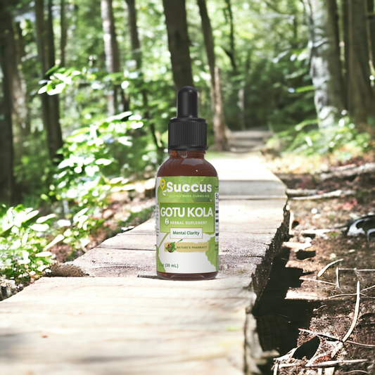 Gotu Kola Tincture - Supports Mental Clarity & Skin Health image 0