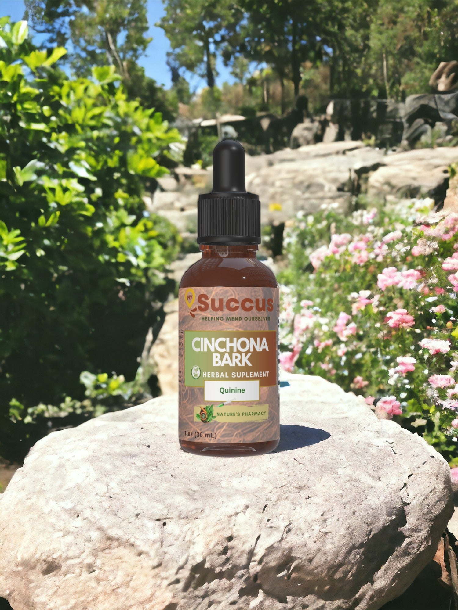 Cinchona Tincture - Supports Digestive Health & Balance image 0