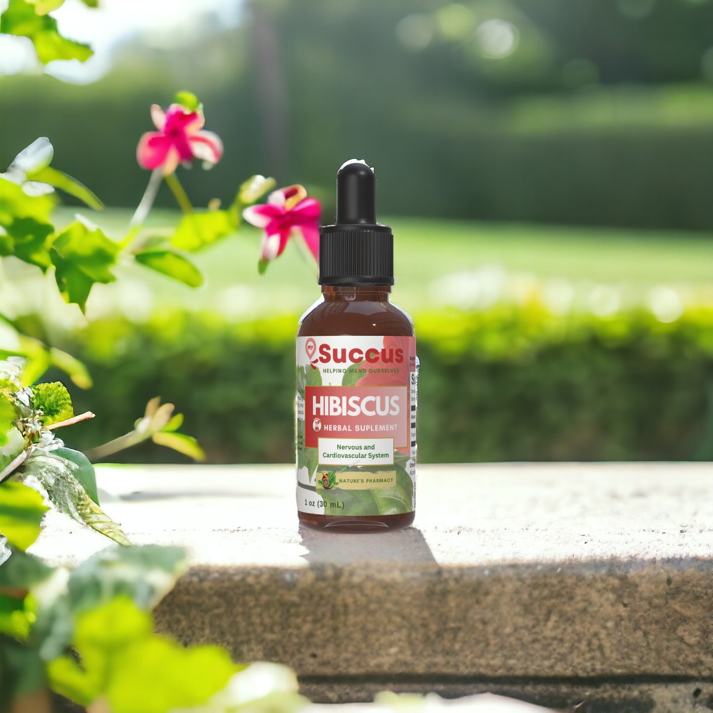 Hibiscus Tincture - Herbal Support for Hydration & Balance image 0