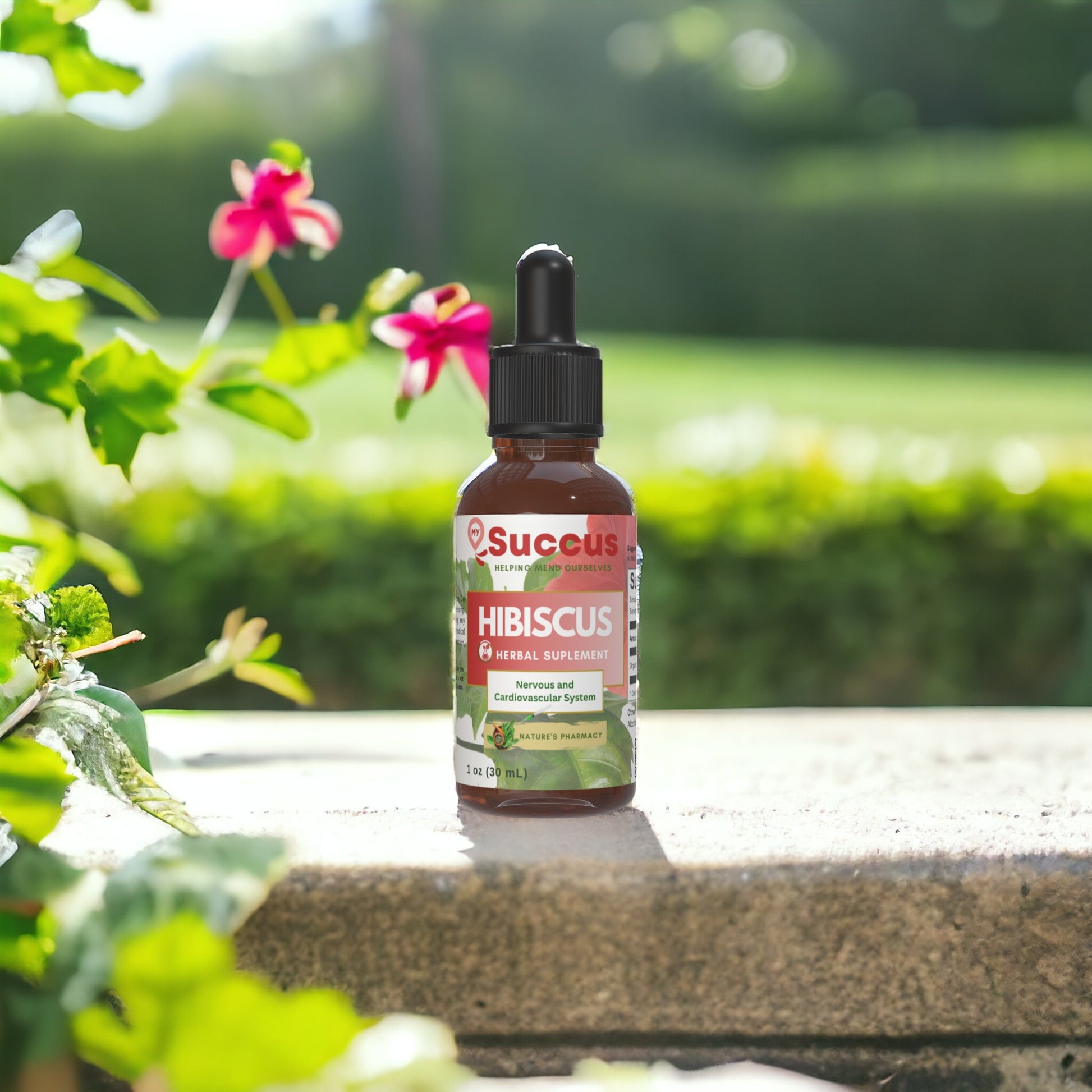 Hibiscus Tincture - Herbal Support for Hydration & Balance image 0