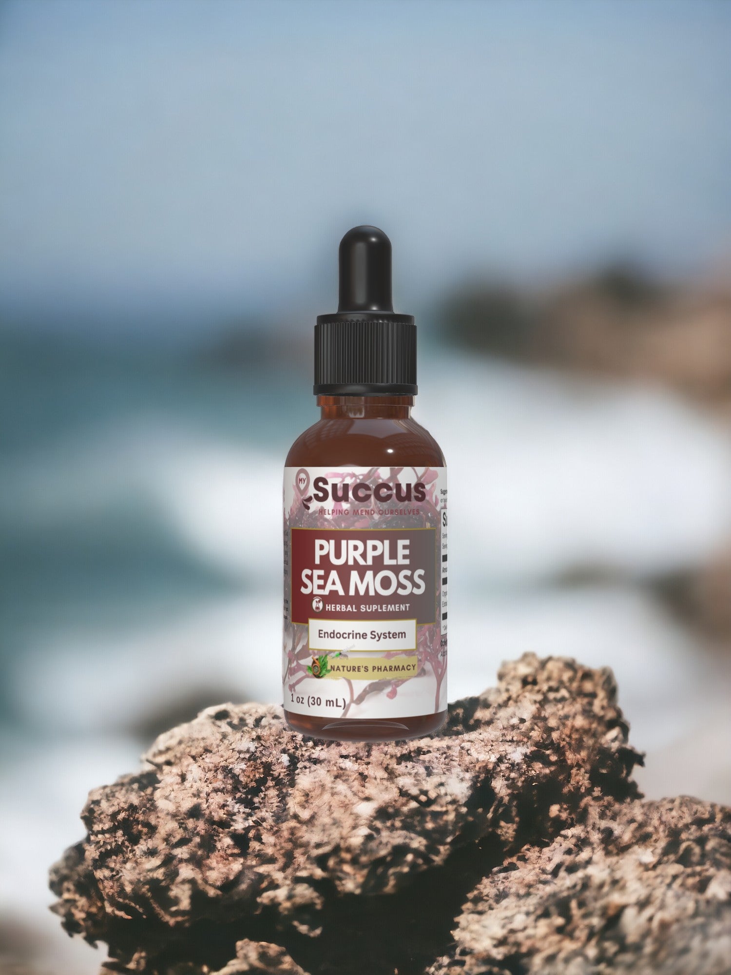 Purple Sea Moss Tincture - Endocrine System image 1