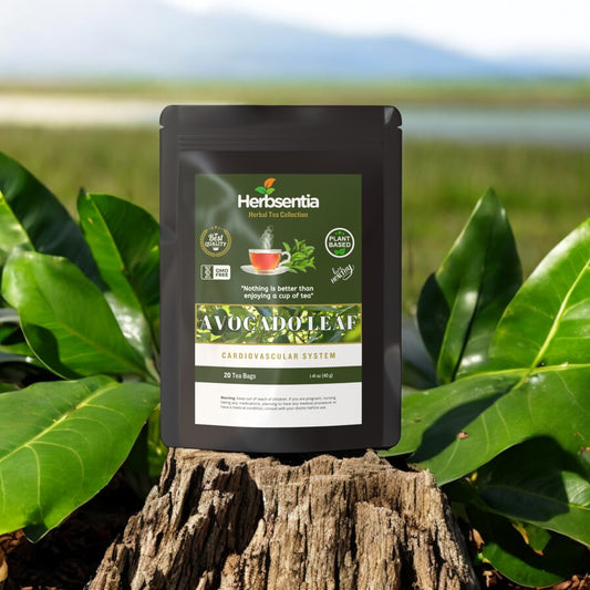 Avocado Leaf Tea -Cardiovascular System image 0