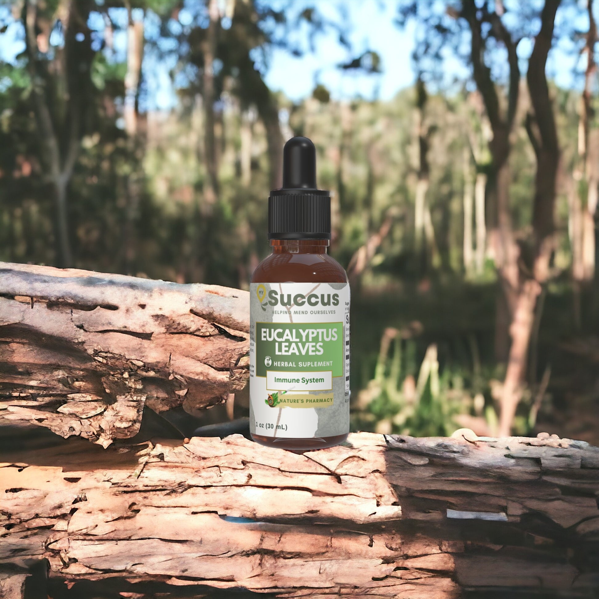 Eucalyptus Leaf Tincture - Supports Respiratory Health Naturally image 1
